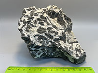 a rock composed of large black and white mineral crystals of  hornblende and feldspar